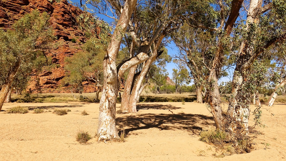 Red Centre Way travel