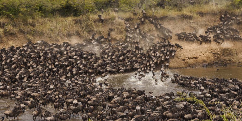 Serengeti-Wildebeest-Migration-Tracking-Calendar1
