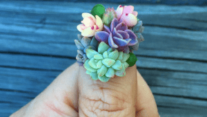 succulent nails