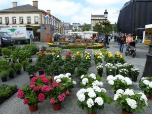 Market flowers galore
