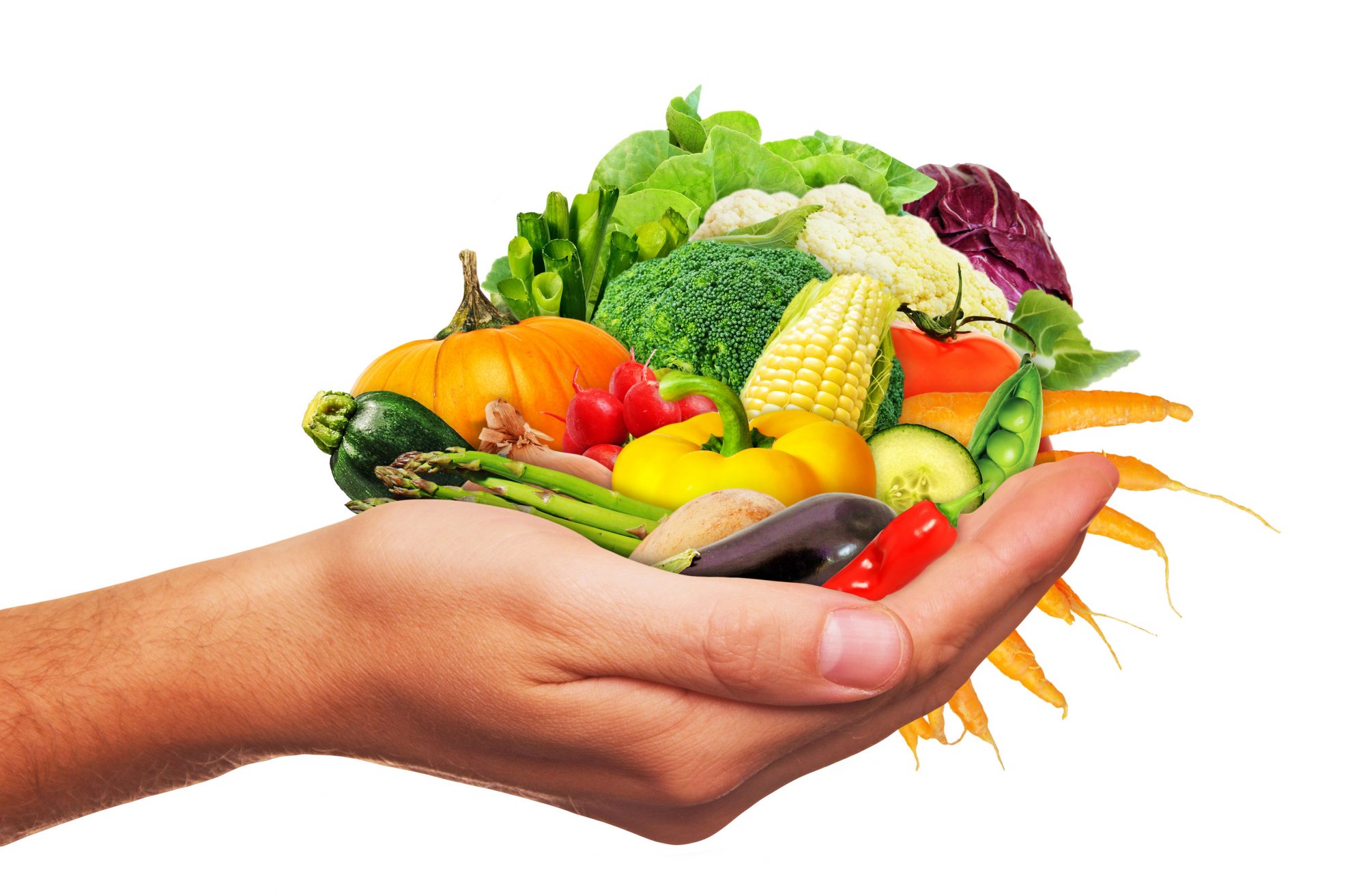 Frisches Gemse in der Hand – Fresh vegetables in the hand