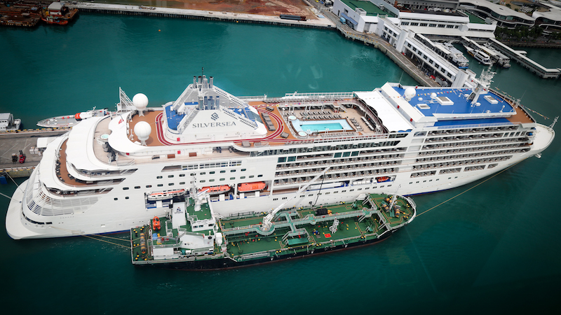 Silvermuse in Singapore Loading