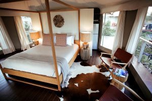 Glamping luxury safari tent Sunshine Coast